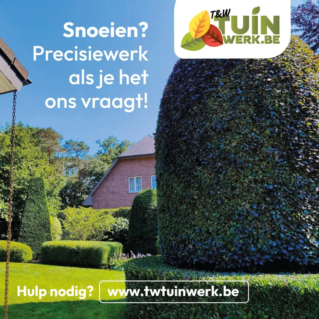 social - snoeien 2