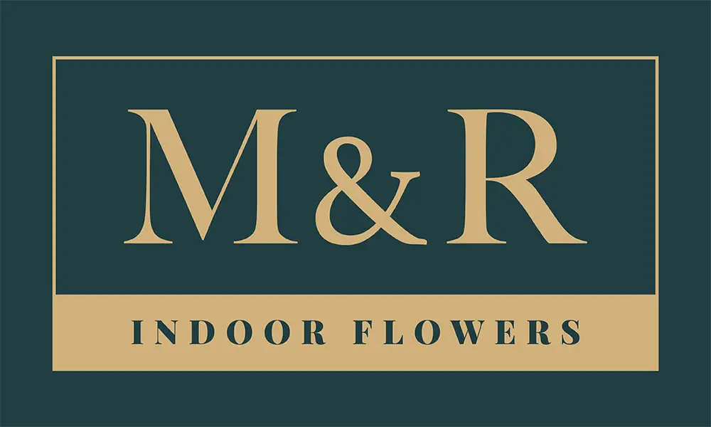 1000x600 logo ontwerp_0001_Logo v1